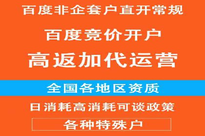 SEM服务公司助力电商增长案例